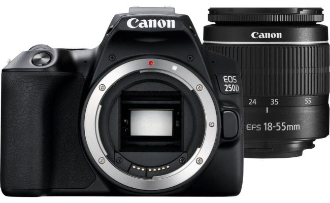 Canon EOS 250D 24.1 MP DSLR Camera w/ EF-S 18-55mm f/3.5-5.6 III Lens - Black